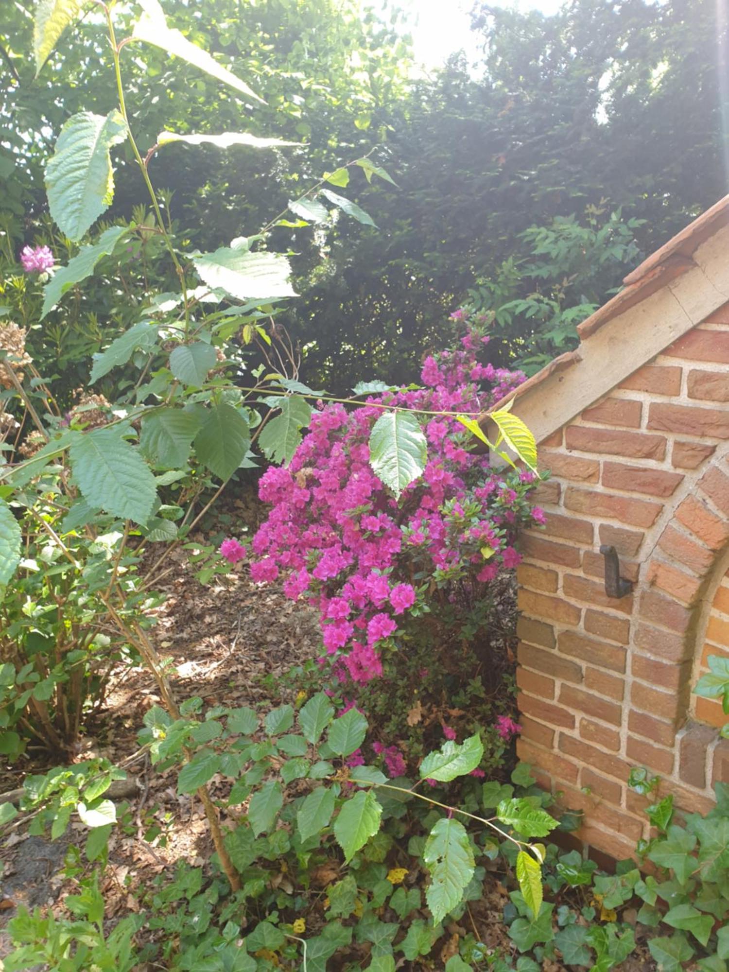 Ferienwohnung Gartenblick Westerstede Exterior foto